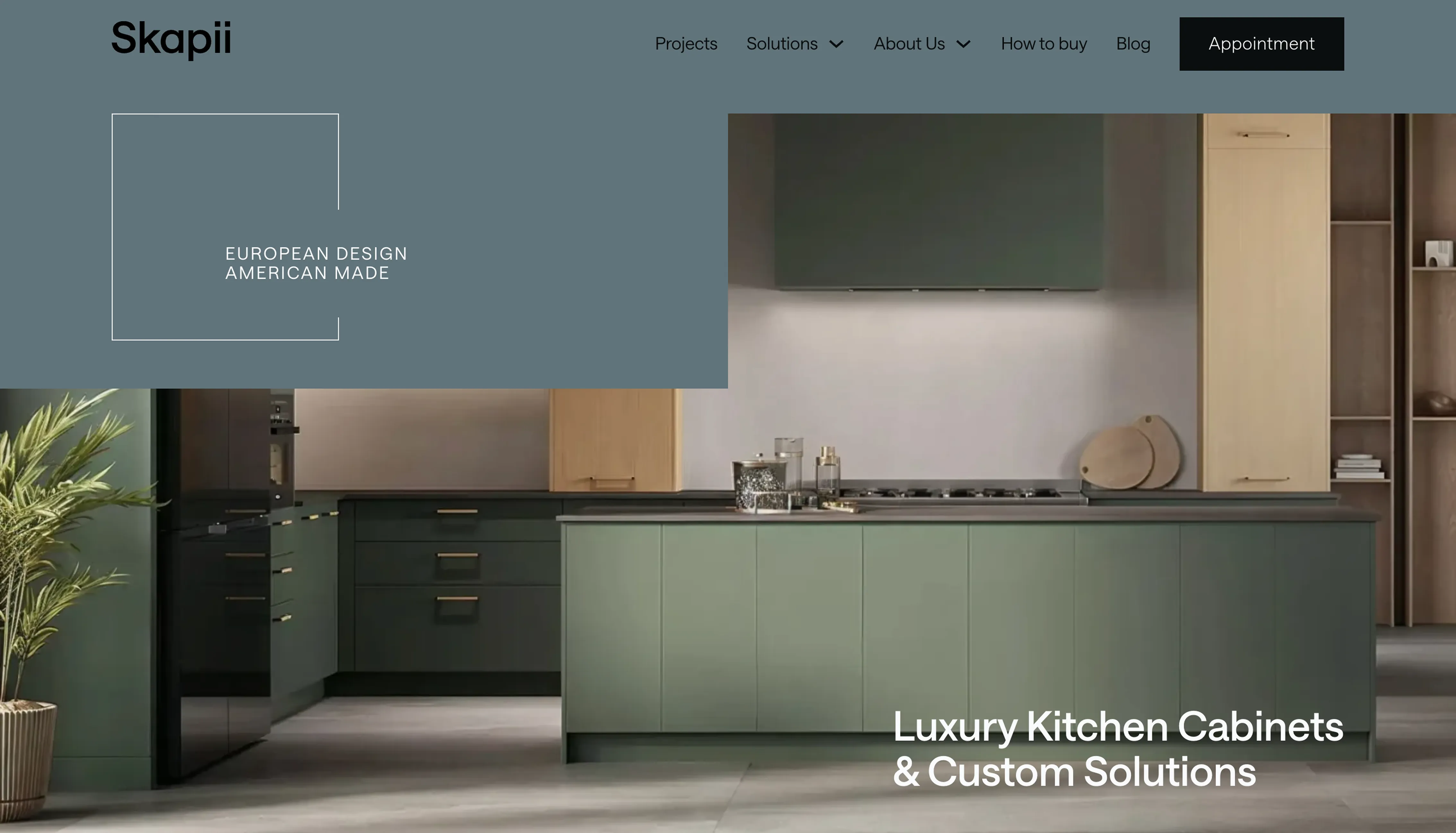 Skapii — custom kitchen cabinets website design by Kokoro